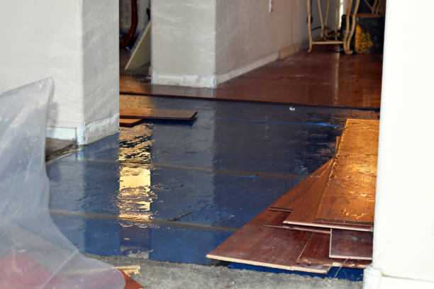 Professional Basement Flood Cleanup technician working in Lavon, TX